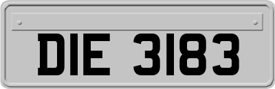 DIE3183