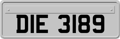 DIE3189