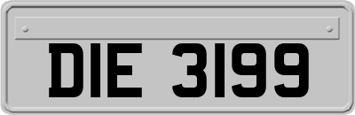 DIE3199