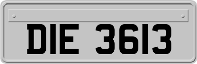 DIE3613