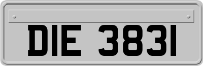 DIE3831