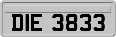 DIE3833