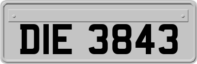 DIE3843