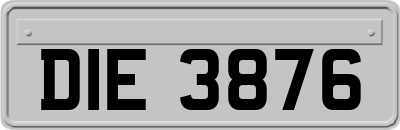 DIE3876