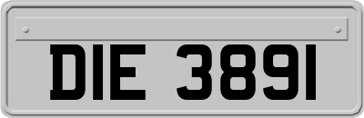 DIE3891