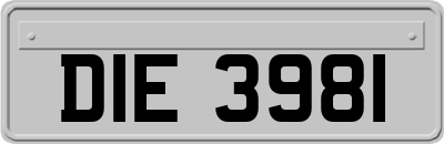 DIE3981