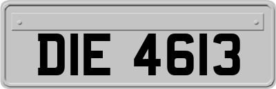 DIE4613