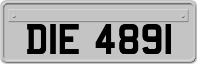 DIE4891