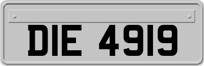 DIE4919
