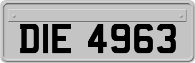DIE4963