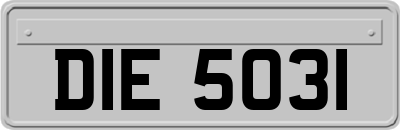 DIE5031