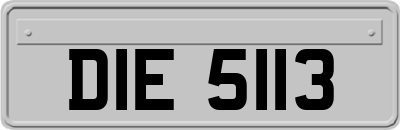 DIE5113