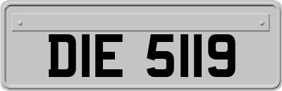 DIE5119