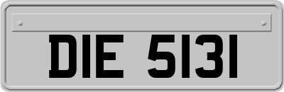 DIE5131