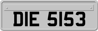 DIE5153