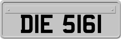DIE5161