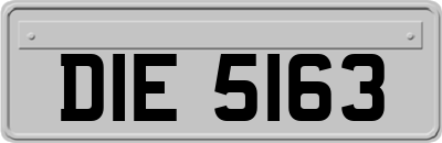 DIE5163