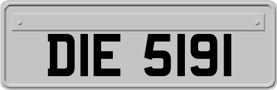 DIE5191