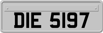 DIE5197