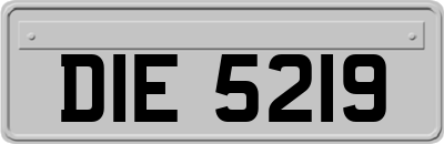 DIE5219