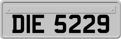 DIE5229