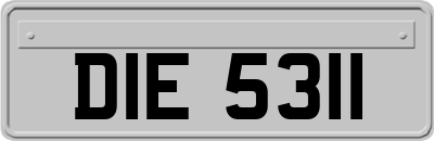 DIE5311