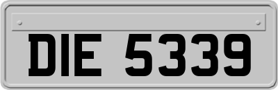 DIE5339