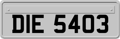 DIE5403