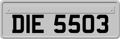 DIE5503