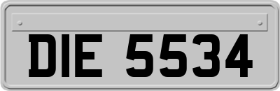 DIE5534