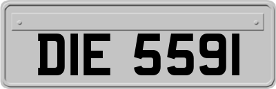 DIE5591