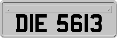 DIE5613