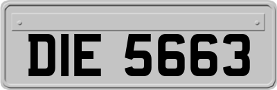 DIE5663