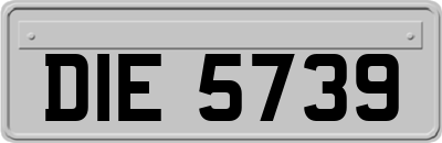 DIE5739
