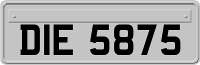 DIE5875