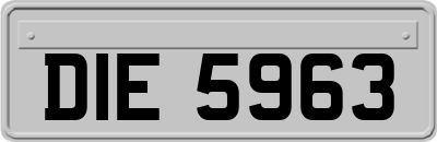 DIE5963