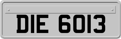 DIE6013