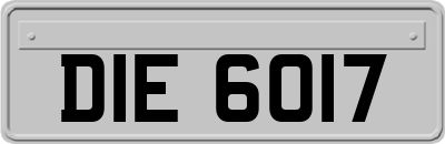 DIE6017
