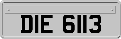 DIE6113