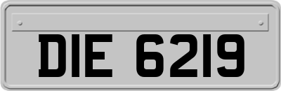 DIE6219