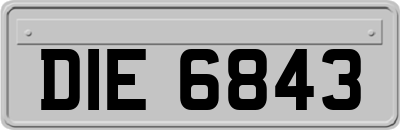 DIE6843