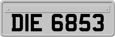 DIE6853
