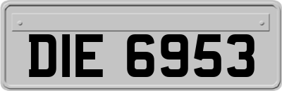 DIE6953