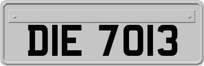 DIE7013