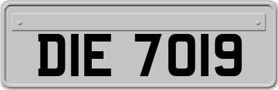DIE7019