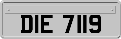 DIE7119