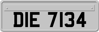 DIE7134
