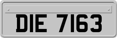DIE7163