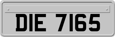 DIE7165