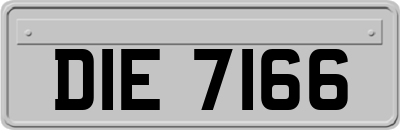 DIE7166